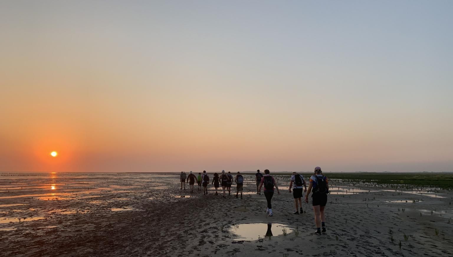 Wadzwerftocht - excursies Ameland